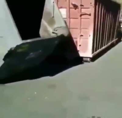 Raccoon gets fucking crushed by a garbage bin