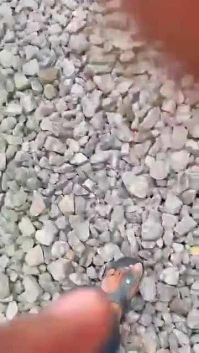 Guy was making reels for Instagram probably his last!