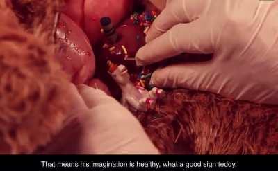 I wonder what teddys imagination is like..