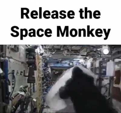 Couldn't find r/shitposting so settled for you guys