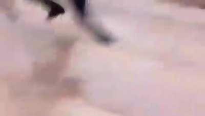 Quando você não entende o tutorial