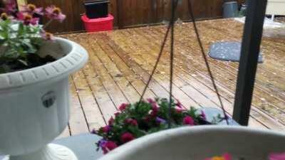 Just enjoying sitting outside on my patio with the flowers. Forest Lawn is so lovely.