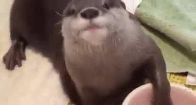 Y&rsquo;all kept on asking me for more