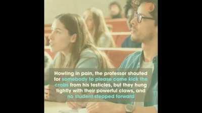 LibRight proves socialism does not work