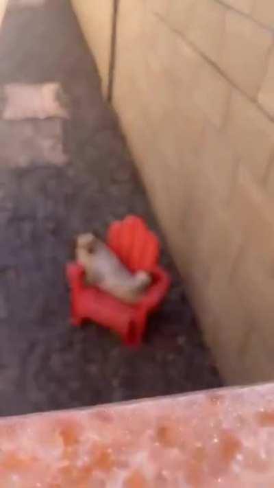 Enter at your own risk