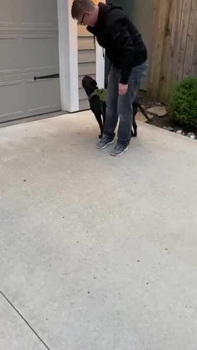 Luna has NCL (neuronal ceroid lipofuscinosis) aka 