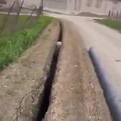 Please Help Trapped Animals