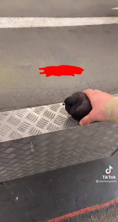 there are two types of people