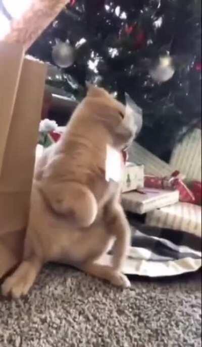 Get this tape off me !