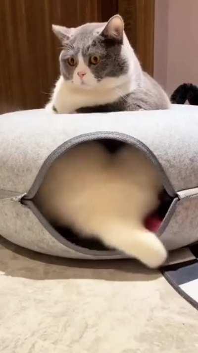 My downstairs neighbours