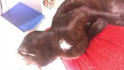 Sorry for shaking, I have been in this position for so long carrying her whole weight on my arm