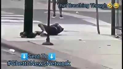 Peak police brutality