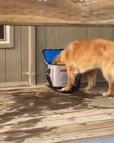 Service is Excellent 5 star on yelp