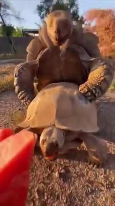 I mean let them alone why just why ?