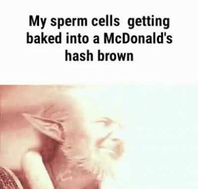 Rats when they see the kfc deep fryer