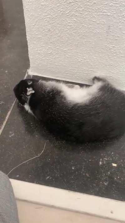 The first time I caught a full flop on camera