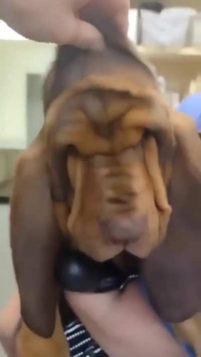 He saw the world for the first time