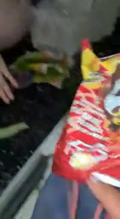 Sneaker meetup African style