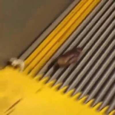 legend has it he’s still running