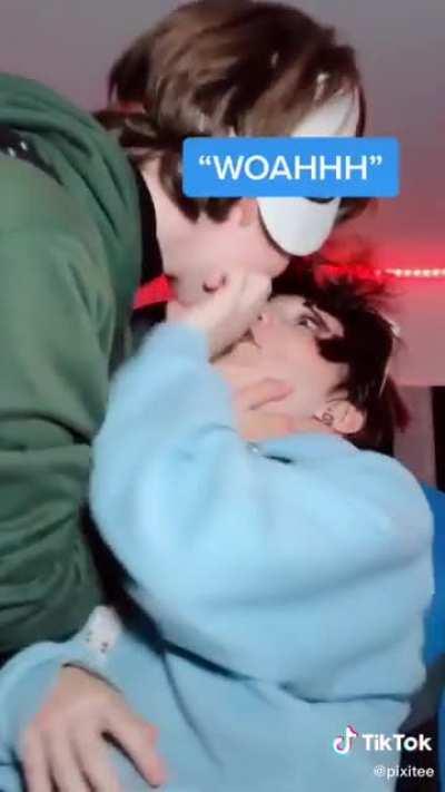 I made this TikTok after I finished my 60 page fanfic about my hardcore sex session with Dream 😌