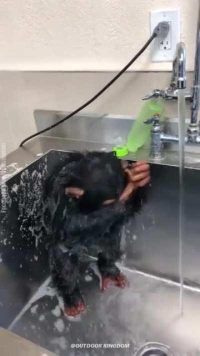 Riczer bañandose 😳