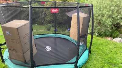 These lads are ahead of the game