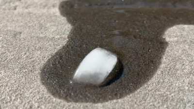 All my homies hate Grasshoppers