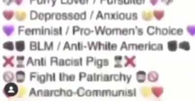 Chris, Fursona user and Antifa General