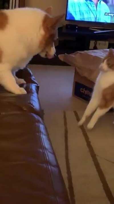 She knew it was coming