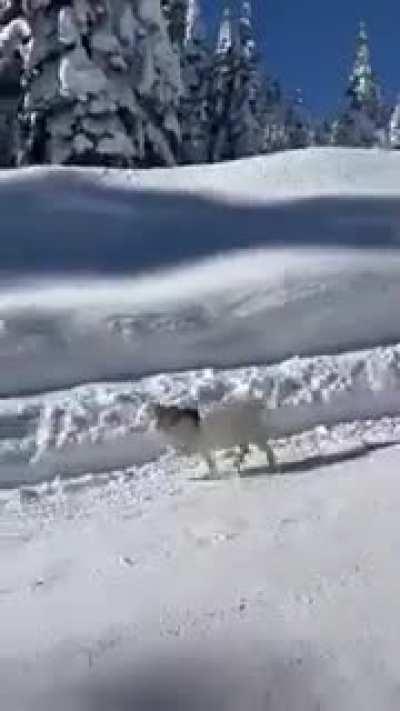 Happiest fella out there!