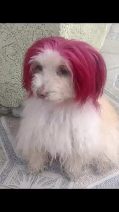 Not all heroes wear capes....they certainly don't wear bubble gums on their head either.