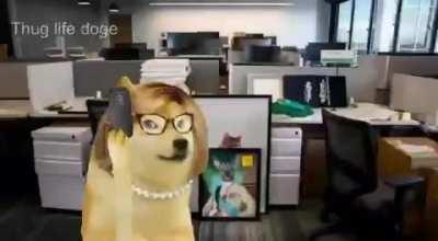 Jankari nahi chahiye 🤡