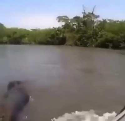 Look At The Size of This Conda!