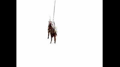 Me being airlifted out of this subreddit after watching the 🚬🐐🌳