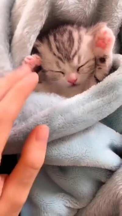 Look at this sweet baby pie!