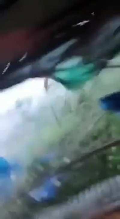 rate this shredder breeze?