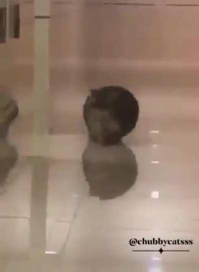 Self-startling quad-turbo ultrachonk