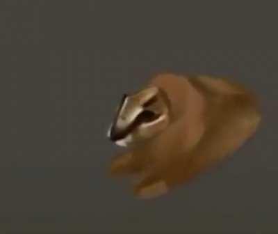 Around The World - Low Res