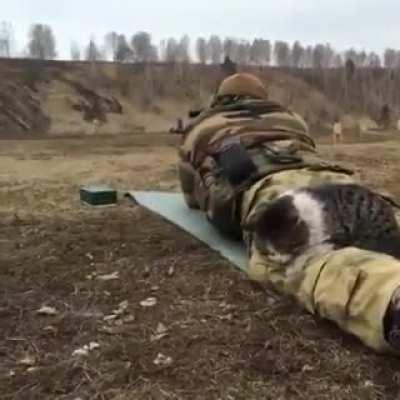 This kitty won't leave his owner