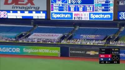 New Lowe of Rays, fan decapitated