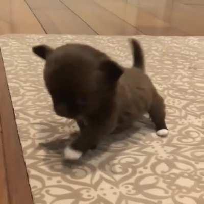 Itty bitty first steps