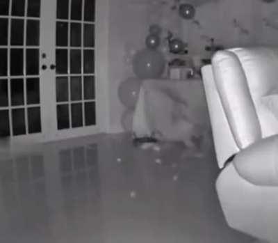 Now I Am Become Cat, Destroyer of birthday parties