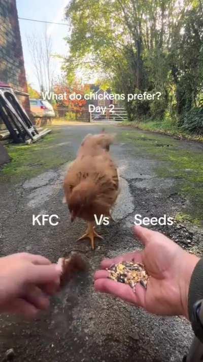 Don't Eat Your Cousin Larry!