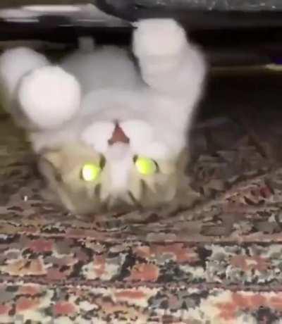 Must have put a wrong y value in the code somewhere