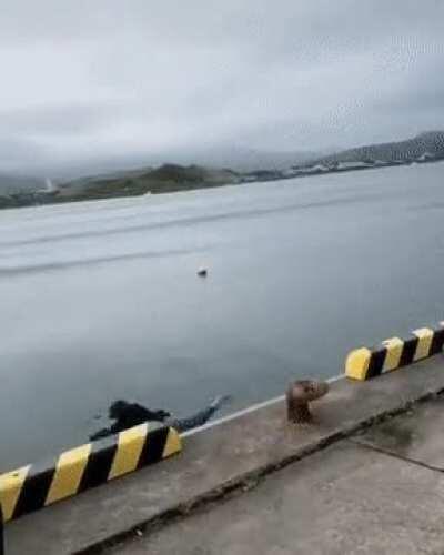 when you're finally ready for Expert+