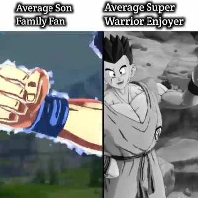 Average Son Family Fan Vs Average Super Warrior Enjoyer