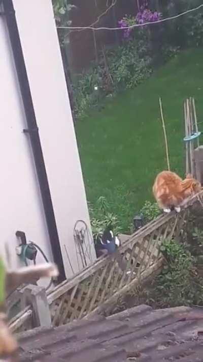 It’s the tag teaming for me 😭🤣