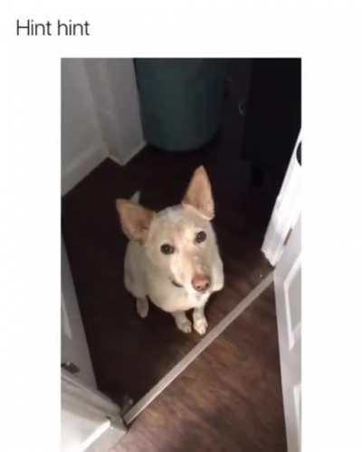 Hint please, what was he trying to say