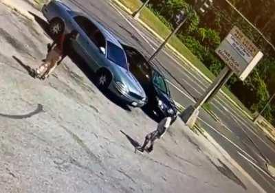 Local Samurai Needs a New Sensei After Almost Reaching Nirvana