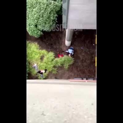 Man drops from overpass while getting chased by staff for shoplifting at Forever 21